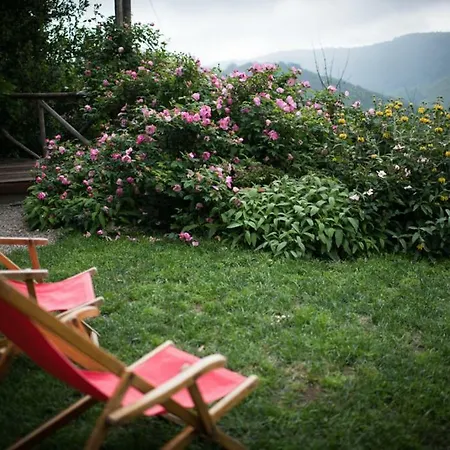 La Canonica Di Nusenna * Gaiole in Chianti