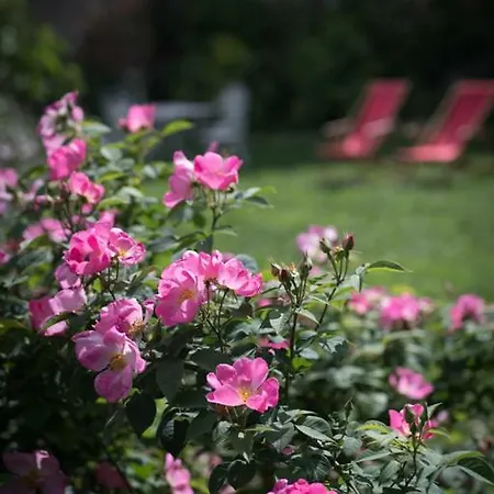 Bed & Breakfast La Canonica Di Nusenna *